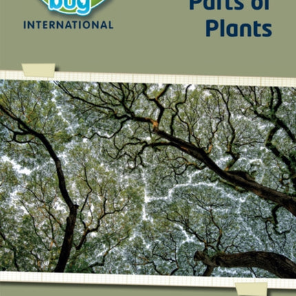 Science Bug: Parts of plants Workbook