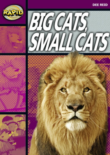 Rapid Reading: Big Cats Small Cats (Stage 1, Level 1A)