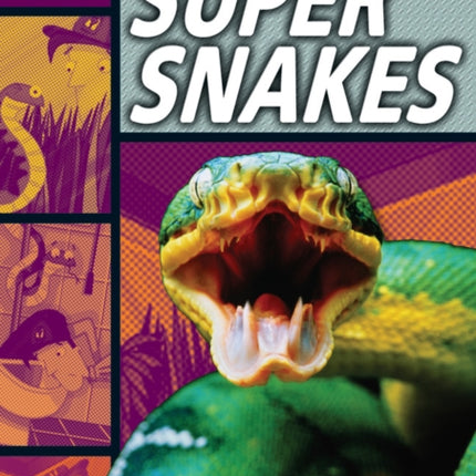 Rapid Reading Super Snakes Stage 1 Level 1A
