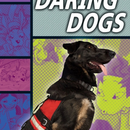 Rapid Stage 1 Set B: Daring Dogs(Series 1)