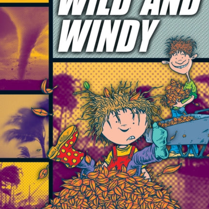 Rapid Reading: Wild and Windy (Stage 4, Level 4A)