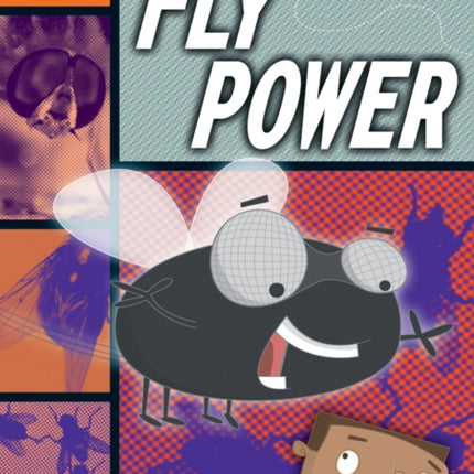 Rapid Reading: Fly Power (Stage 4, Level 4B)