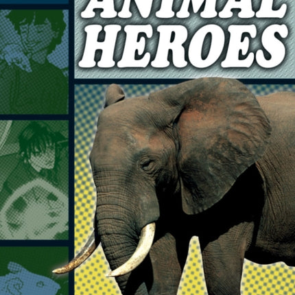 Rapid Reading: Animal Heroes (Stage 6 Level 6B)