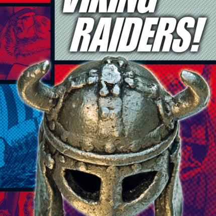 Rapid Reading: Viking Raider (Stage 5, Level 5A)