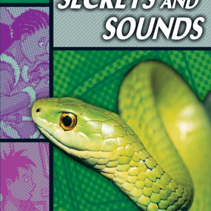 Rapid Reading: Secrets & Sounds (Stage 5, Level 5B)