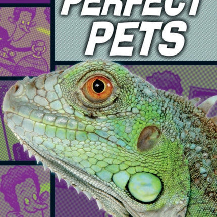 Rapid Reading: Perfect Pets (Starter Level 2B)