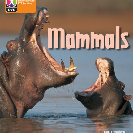 PYP L6 Mammals 6PK