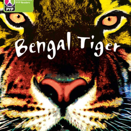 Primary Years Programme Level 4 Save Bengal Tiger 6Pack