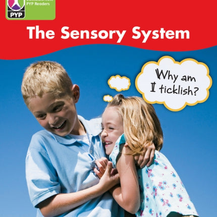 PYP L4 Sensory System 6PK