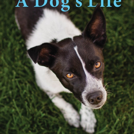 DOGS LIFE THE AUTOBIOGRAPHY OF A STRAY