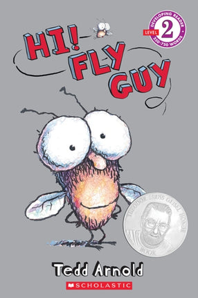 Hi Fly Guy