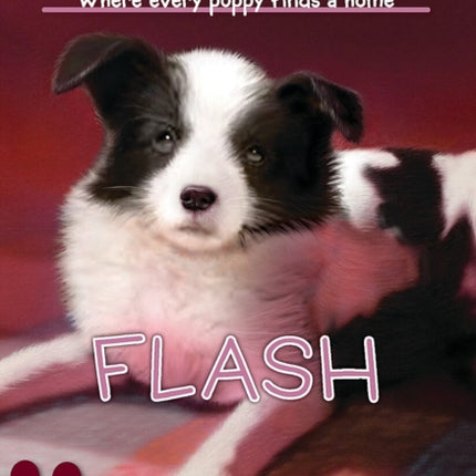 Flash (the Puppy Place #6)