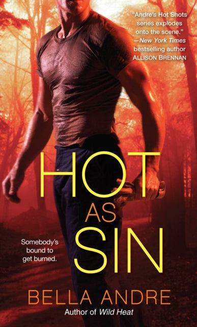 Hot as Sin: A Novel