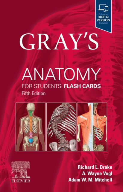 Gray's Anatomy for Students Flash Cards