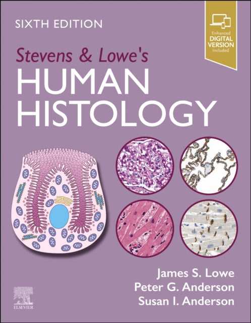 Stevens  Lowes Human Histology