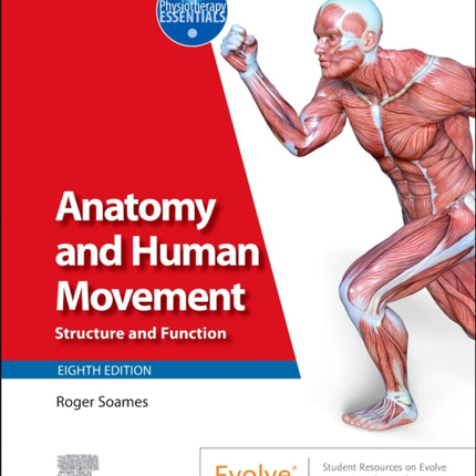 Anatomy and Human Movement