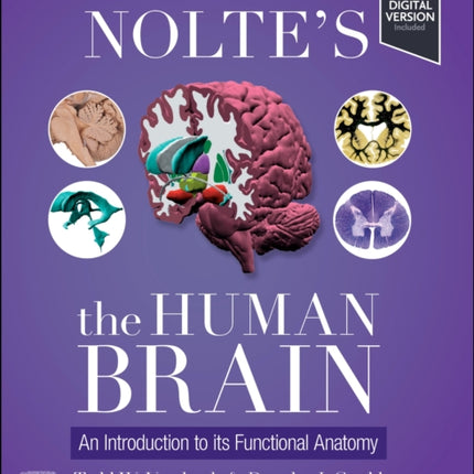 Noltes The Human Brain