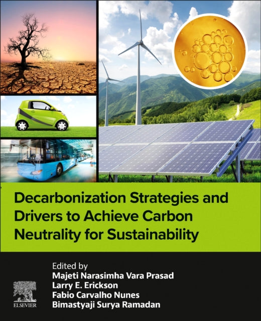 Decarbonization Strategies and Drivers to Achieve