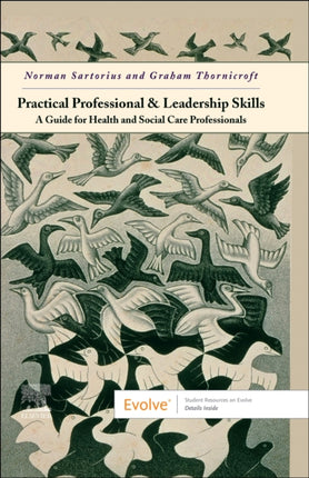 Practical Professional and Leadership Skills A