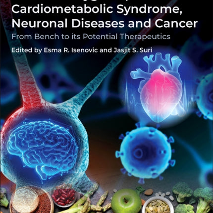 Reactive Oxygen Species in Cardiometabolic Syndrome Neuronal Diseases and Cancer