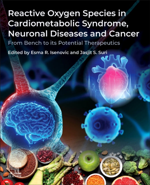 Reactive Oxygen Species in Cardiometabolic Syndrome Neuronal Diseases and Cancer