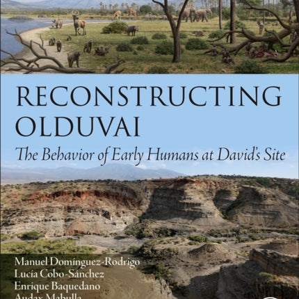 Reconstructing Olduvai