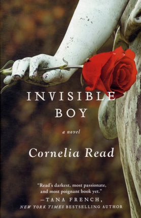 Invisible Boy