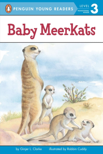 Baby Meerkats