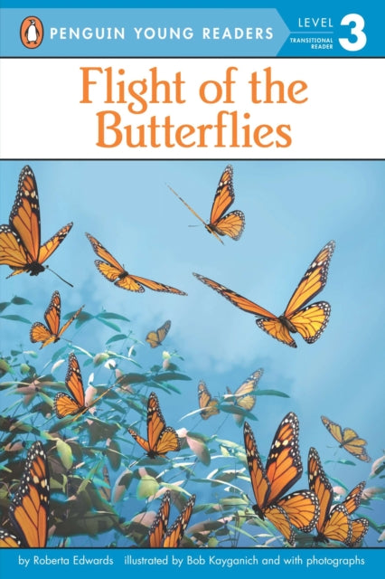 Flight of the Butterflies