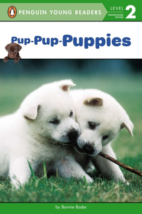 PupPupPuppies