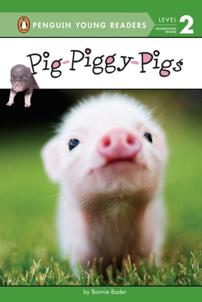 PigPiggyPigs