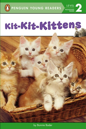 KitKitKittens