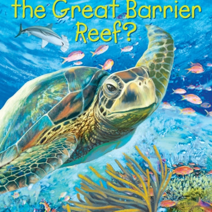 Where Is the Great Barrier Reef?