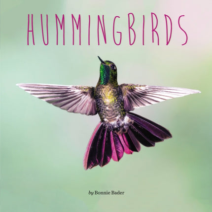 Hummingbirds Penguin Core Concepts