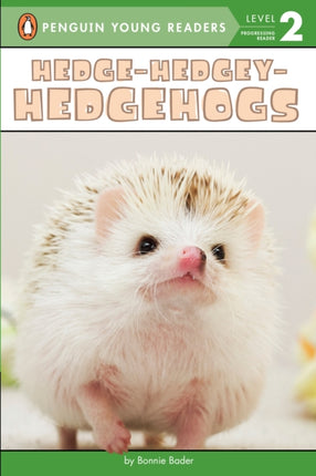 HedgeHedgeyHedgehogs