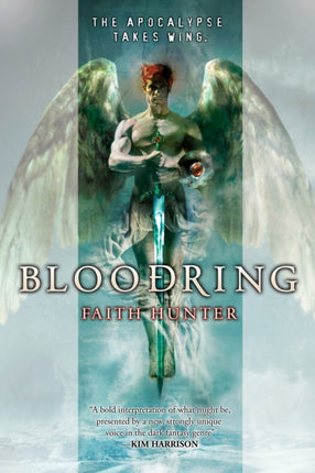 Bloodring 1 Rogue Mage