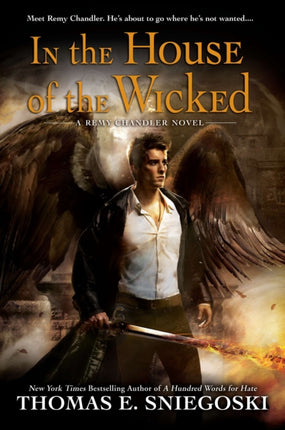 In the House of the Wicked Remy Chandler Novels Paperback