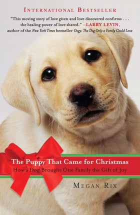 The Puppy That Came for Christmas