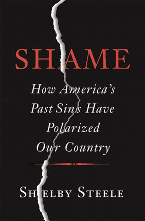 Shame How Americas Past Sins Have Polarized Our Country