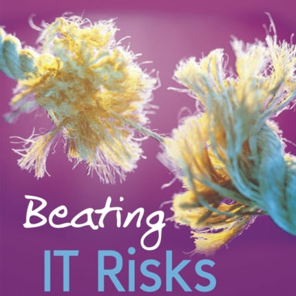 Beating IT Risks