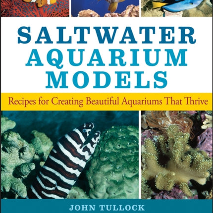 Saltwater Aquarium Models: Recipes for Creating Beautiful Aquariums That Thrive