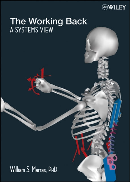 The Working Back: A Systems View