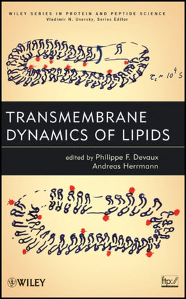 Transmembrane Dynamics of Lipids