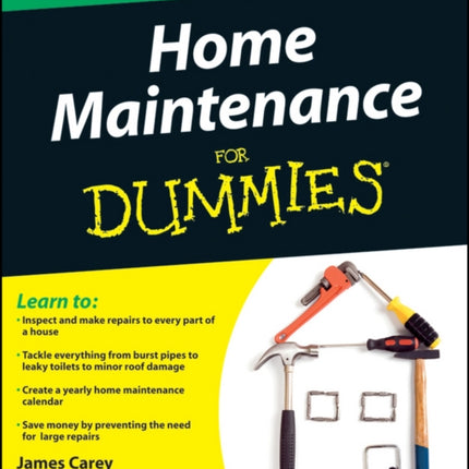 Home Maintenance For Dummies