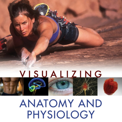 Visualizing Anatomy and Physiology