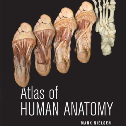 Atlas of Human Anatomy