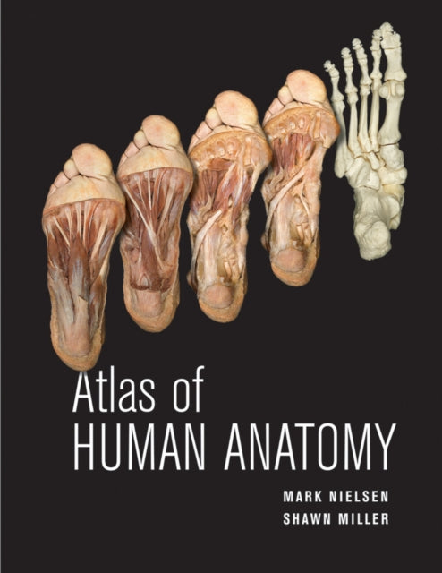 Atlas of Human Anatomy