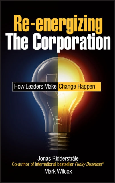 Re-energizing the Corporation: How Leaders Make Change Happen