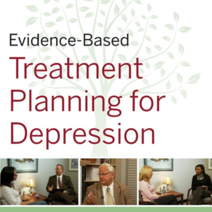 EvidenceBased Psychotherapy Treatment Planning for Depression DVD and Workbook Set