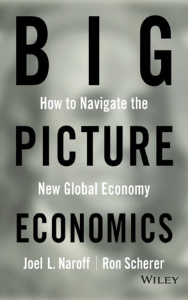 Big Picture Economics: How to Navigate the New Global Economy